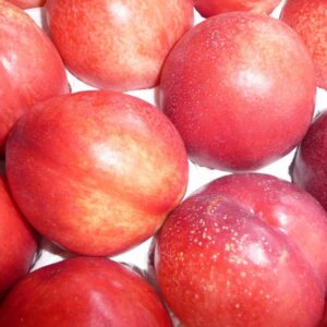 image-produit-Nectarine jaune