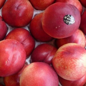 image-produit-Nectarine blanche origine France