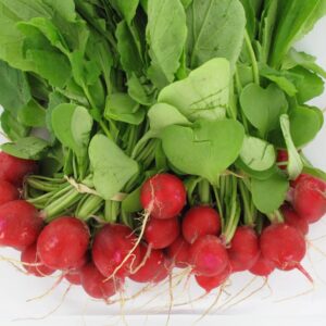 image-produit-radis rouge (botte)