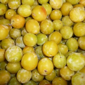 Mirabelle-