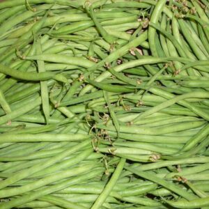 image-produit-haricots verts très fin origine Maroc