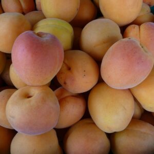 Abricots à confiture-