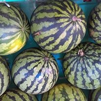 Pastèque Origine Espagne (Au Kilo)