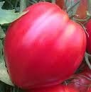 Tomate Coeur De Boeuf Origine France (Local)